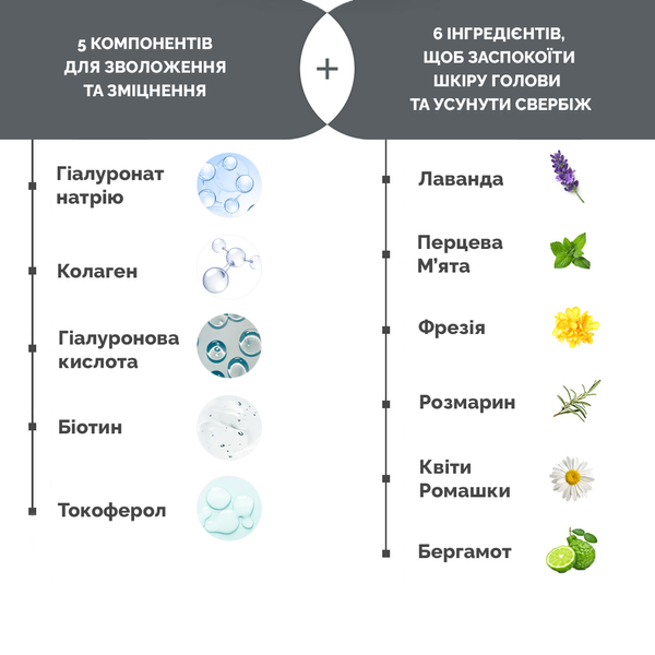 Шампунь для сухих и поврежденных волос Dr.FORHAIR Folligen Silk Shampoo, 500мл 8809485532660 фото