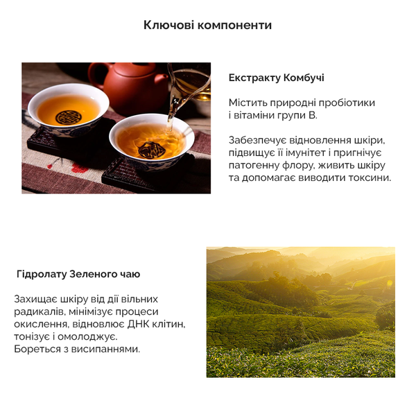 Веганский тональный ББ-крем с экстрактом комбучи Dr.Ceuracle Vegan Kombucha Tea BB Cream, 30 мл 8806133615270 фото
