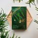 Набір заспокійливих масок з екстрактом чайного дерева Dr.Ceuracle Tea Tree Purifine Soothing Mask, 23мл * 10шт 8806133614471 фото 2